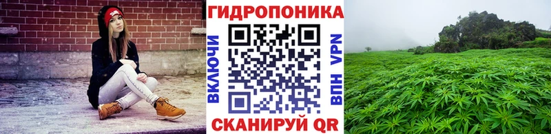 Канабис тримм  ссылка на мегу онион  Черногорск 